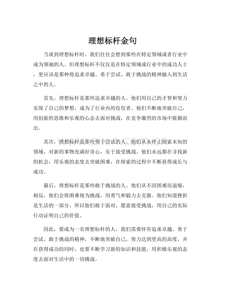 理想标杆金句.docx_第1页