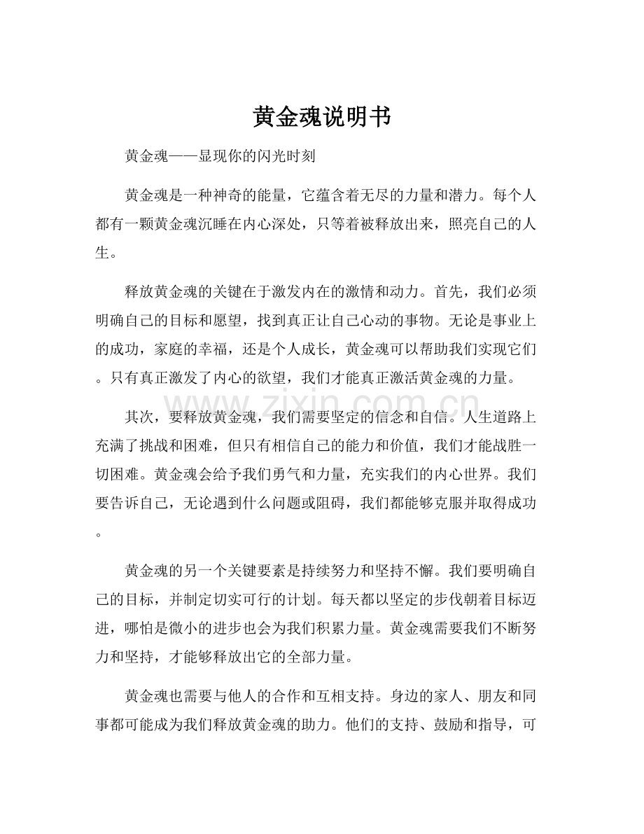 黄金魂说明书.docx_第1页