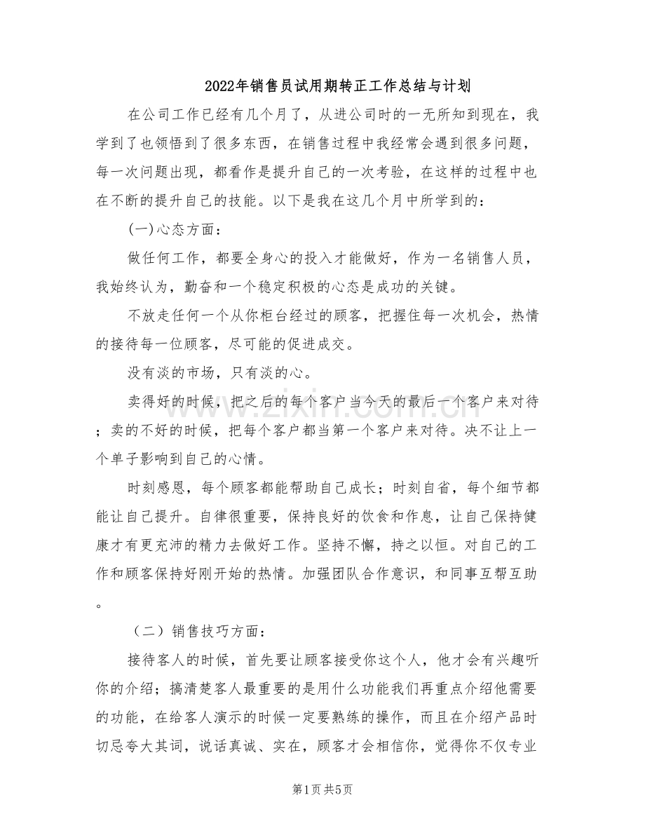 2022年销售员试用期转正工作总结与计划.doc_第1页