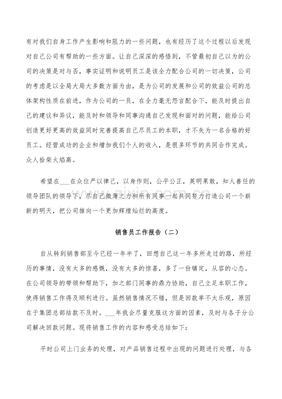 2022年销售员年工作总结.doc_第2页