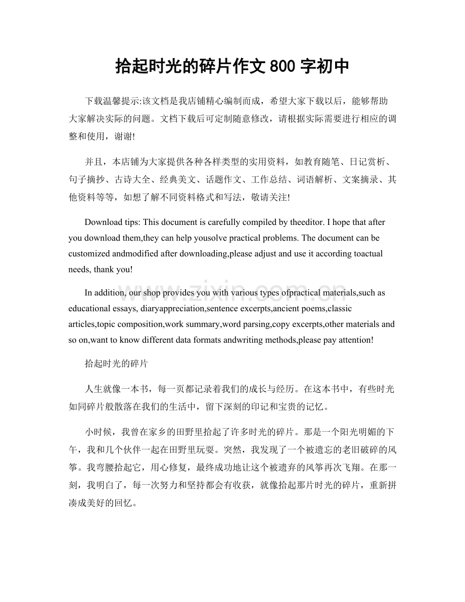拾起时光的碎片作文800字初中.docx_第1页