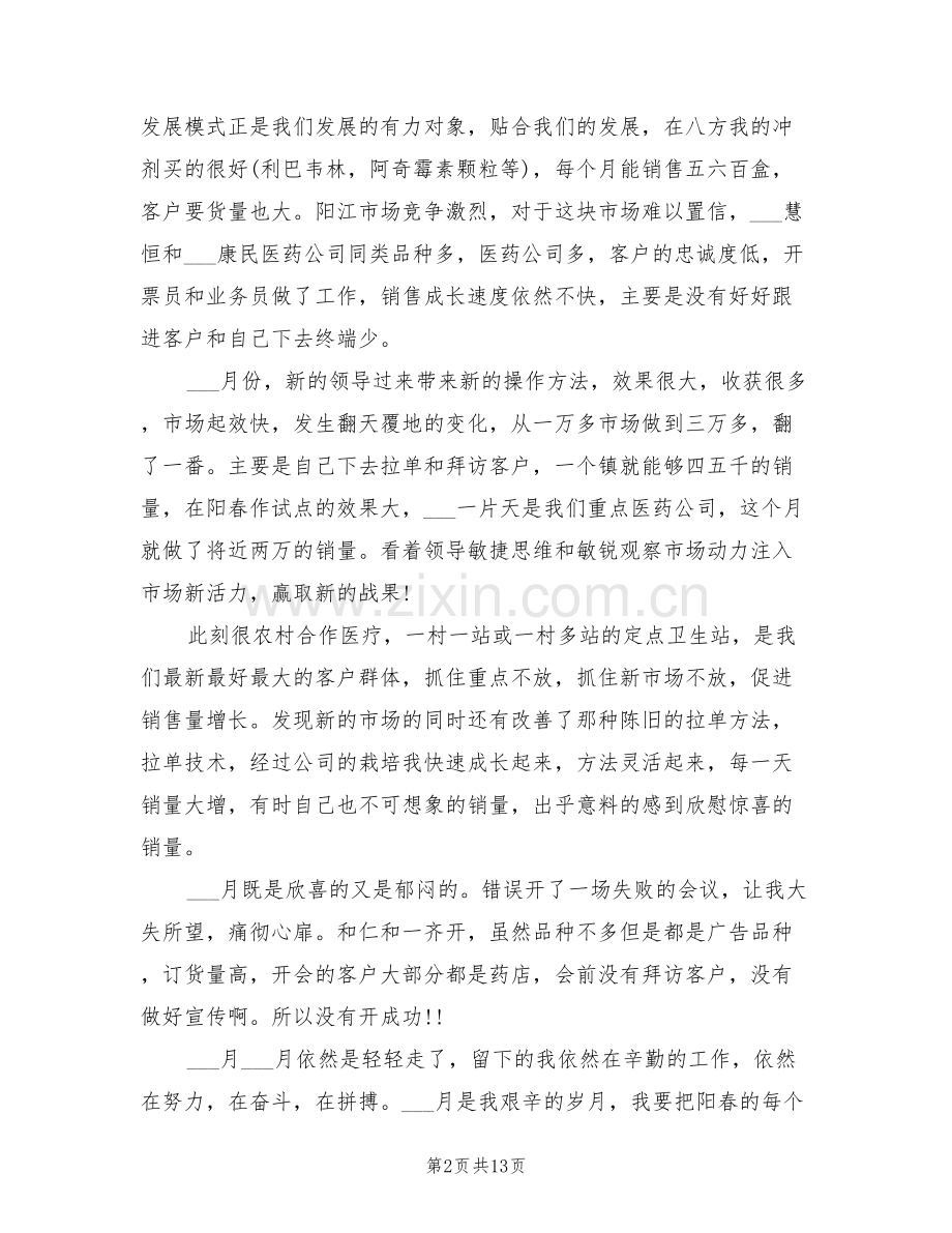 2022年药品销售人员工作总结.doc_第2页