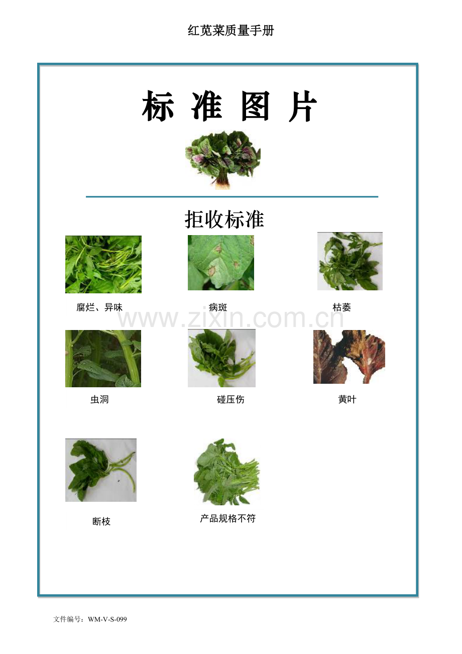 99quality-manual-Chinese红苋菜质量手册验收标准.doc_第2页