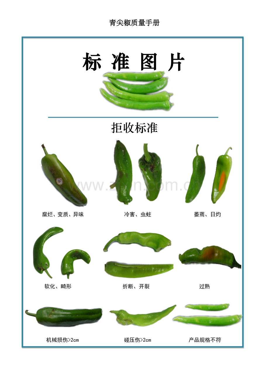 23quality-manual-Green-pepper青尖椒辣椒质量手册验收标准.doc_第2页