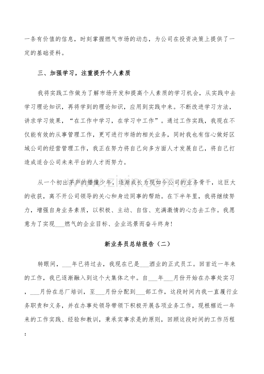 2022年新业务员个人总结.doc_第2页