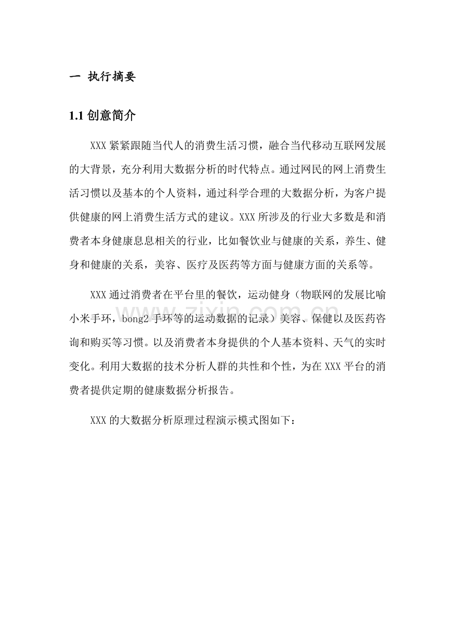 健康电子商务网站商业计划书.docx_第2页