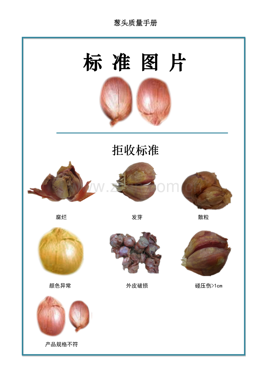 09quality-manual-onion葱头质量手册验收标准.doc_第2页