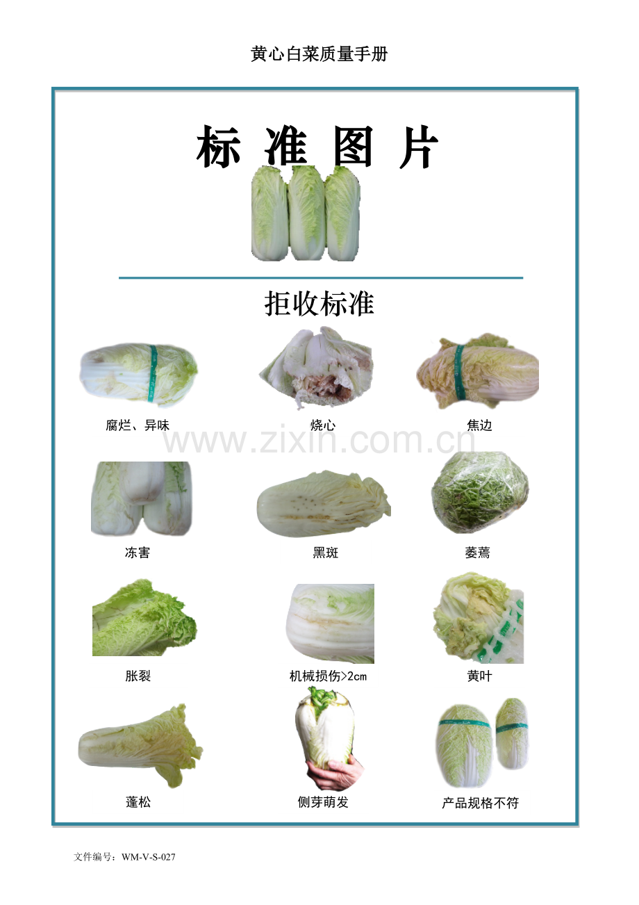 63quality-manual-Chinese-cabbage黄心白菜质量手册验收标准.doc_第2页