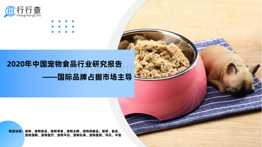 2020年中国宠物食品行业研究报告-国际品牌占据市场主导.pdf_第1页