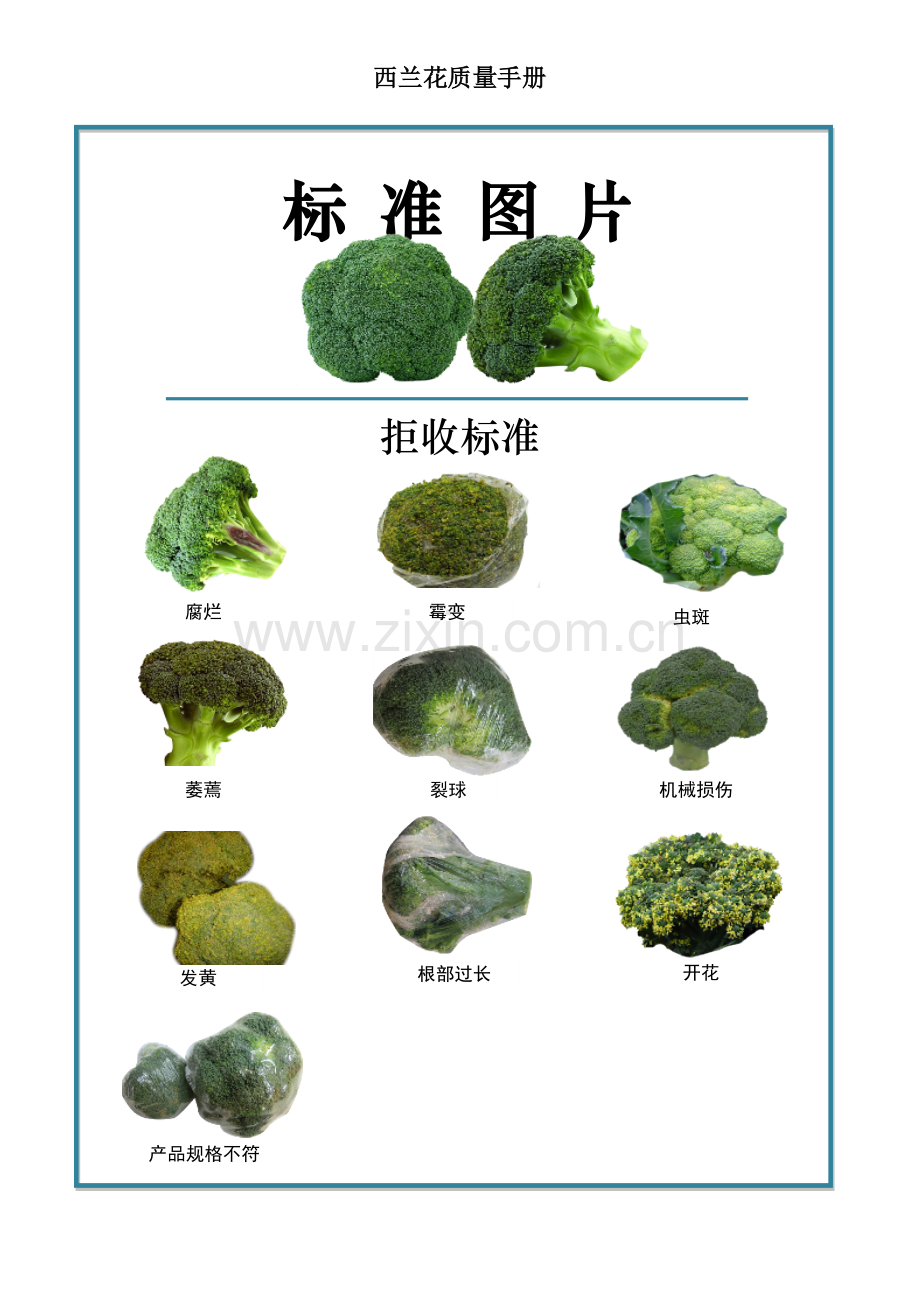 29quality-manual-Brocoli西兰花质量手册验收标准.doc_第2页