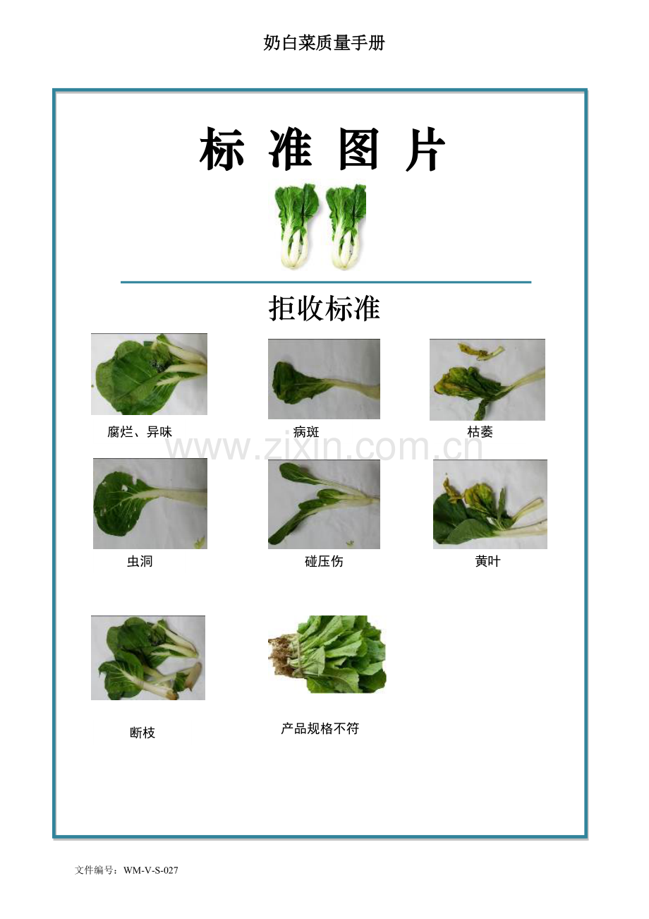 94quality-manual-Chinese奶白菜质量手册验收标准.doc_第2页