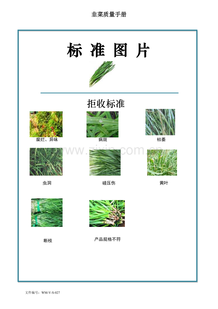 85quality-manual-Chinese韭菜质量手册验收标准.doc_第2页