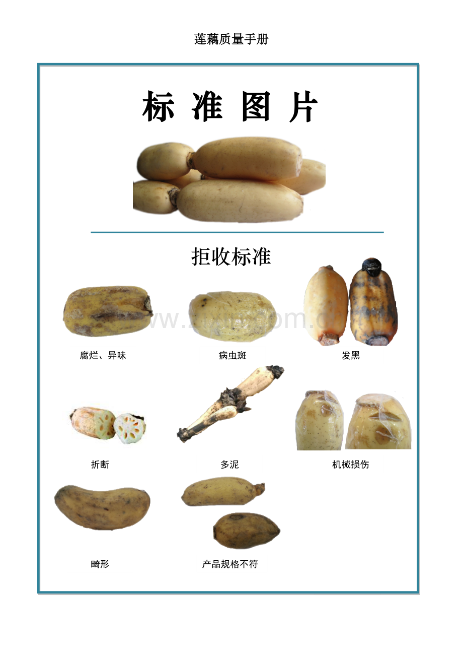 34quality-manual-lotus-root莲藕质量手册验收标准.doc_第2页