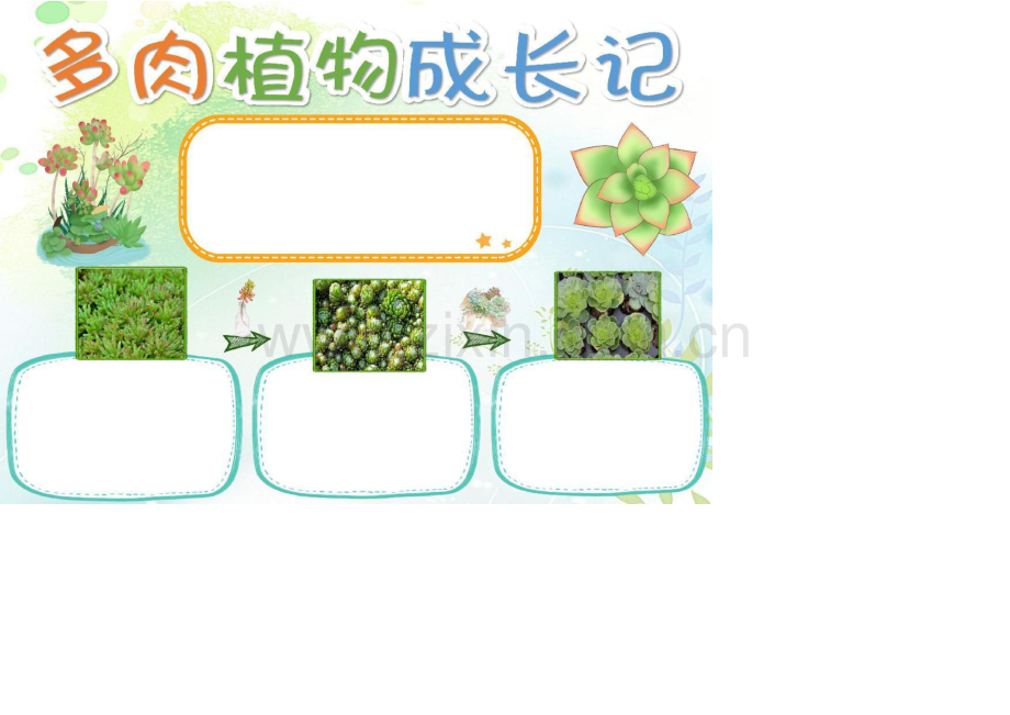 多肉植物成长记手抄报小报word模板.docx_第1页