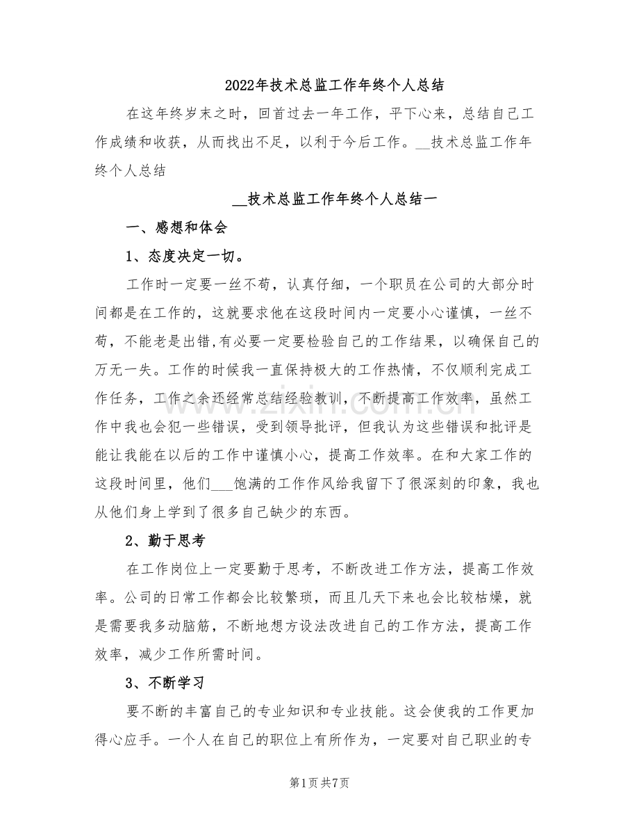 2022年技术总监工作年终个人总结.doc_第1页