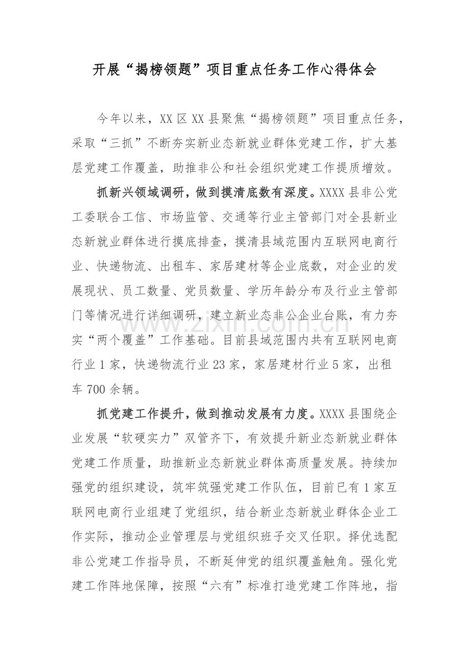 开展“揭榜领题”项目重点任务工作心得体会.docx_第1页