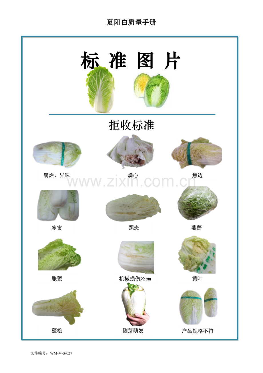 53quality-manual-Chinese-cabbage夏阳白菜质量手册验收标准.doc_第2页