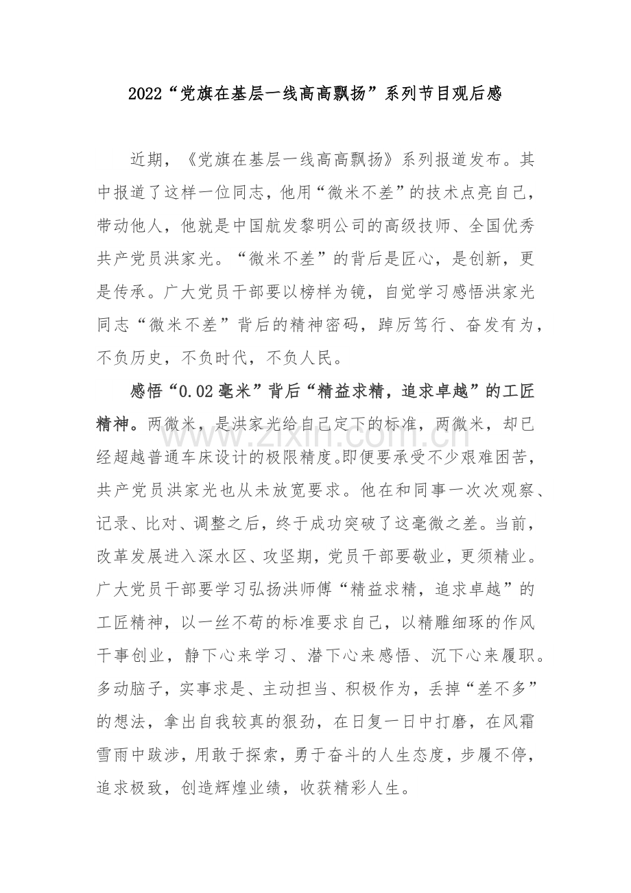 2022“党旗在基层一线高高飘扬”系列节目观后感2篇.docx_第1页