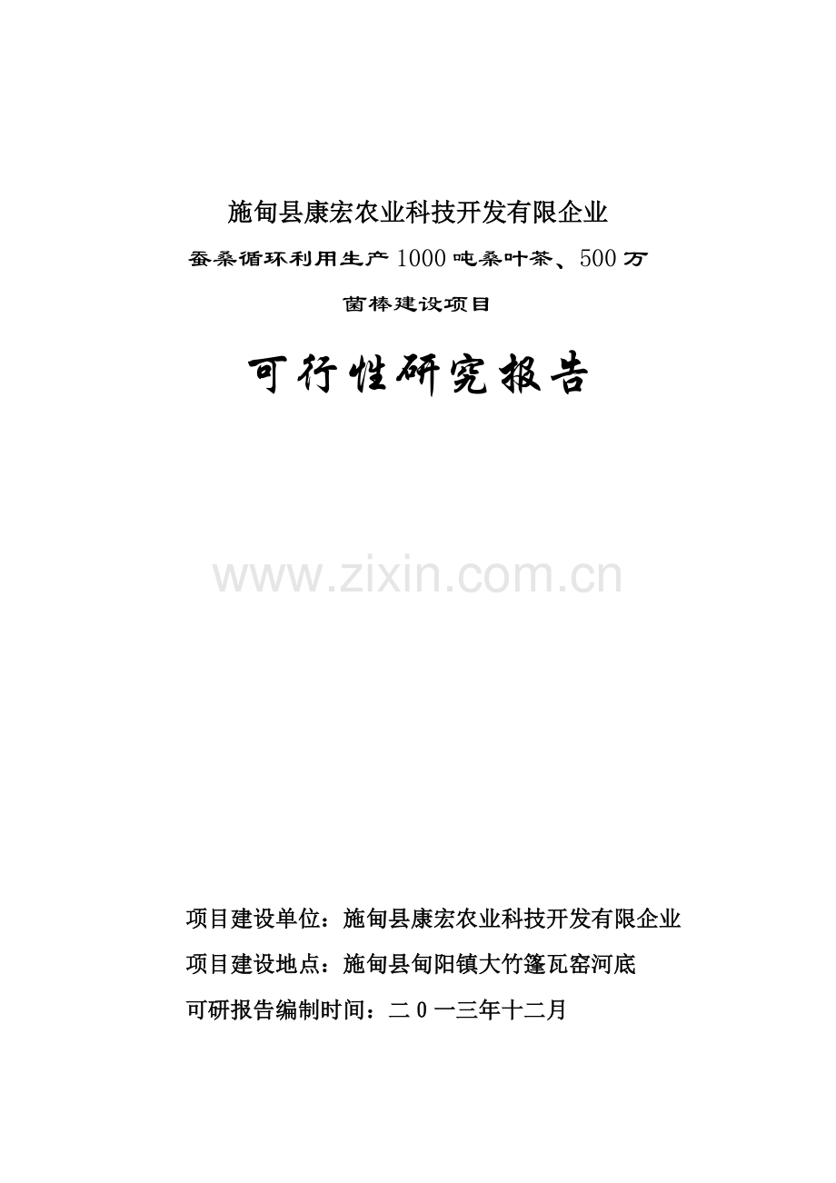 农业科技开发有限公司可行性研究报告.doc_第1页
