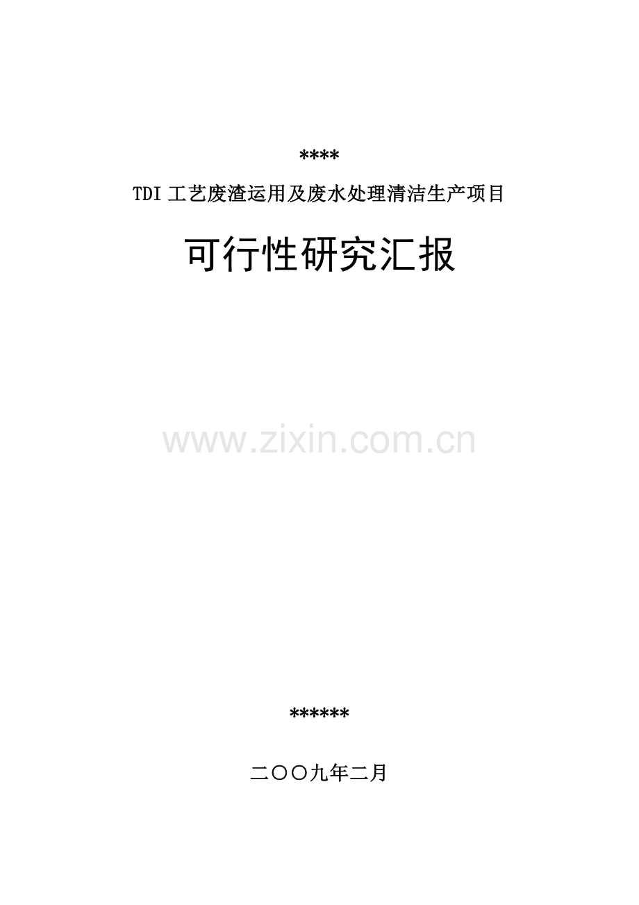 TDI工艺废渣利用及废水处理清洁生产项目可行性研究报告.doc_第1页