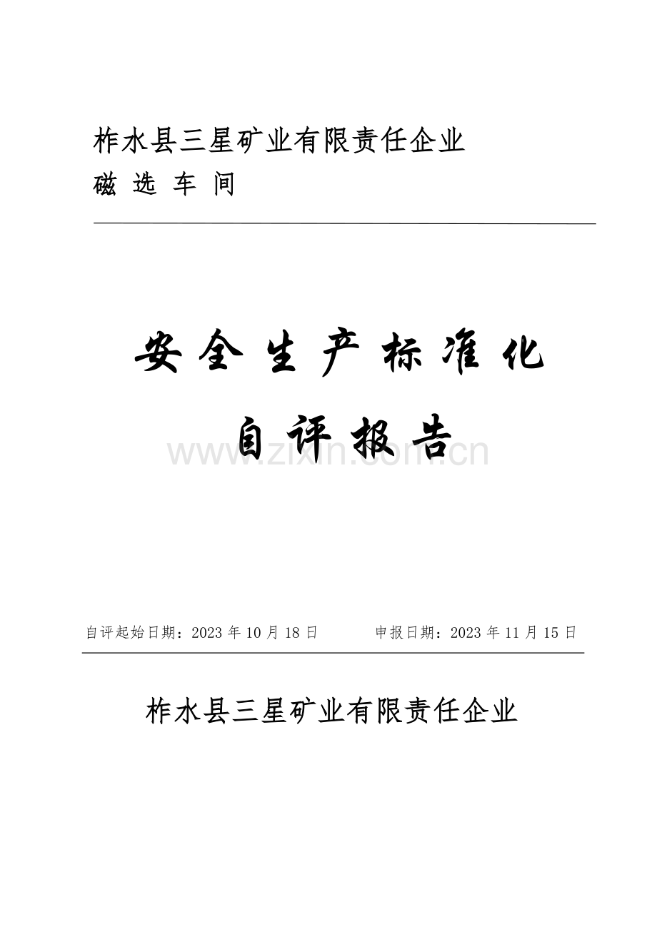 矿业公司安全生产标准化自评报告.docx_第1页