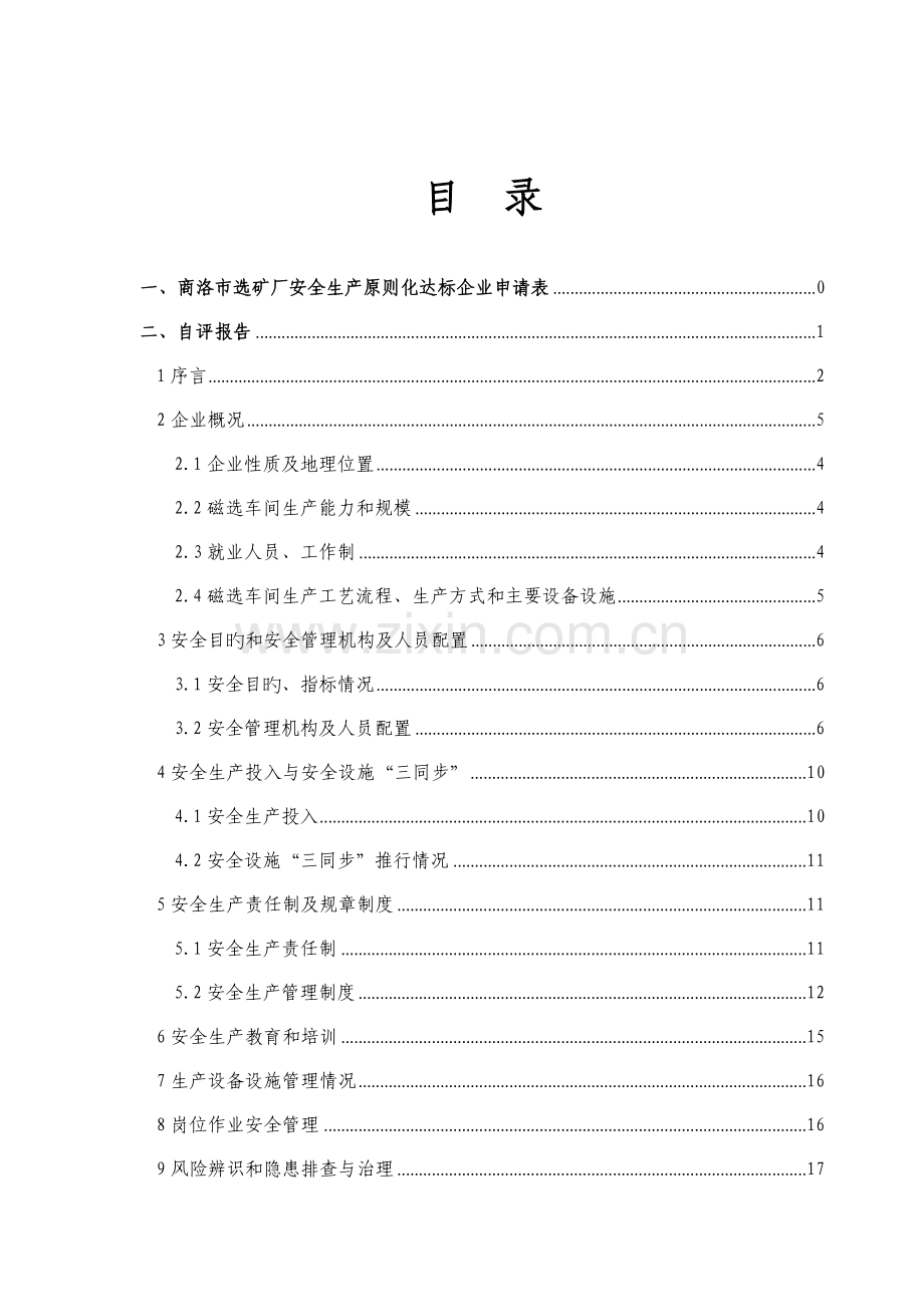 矿业公司安全生产标准化自评报告.docx_第2页