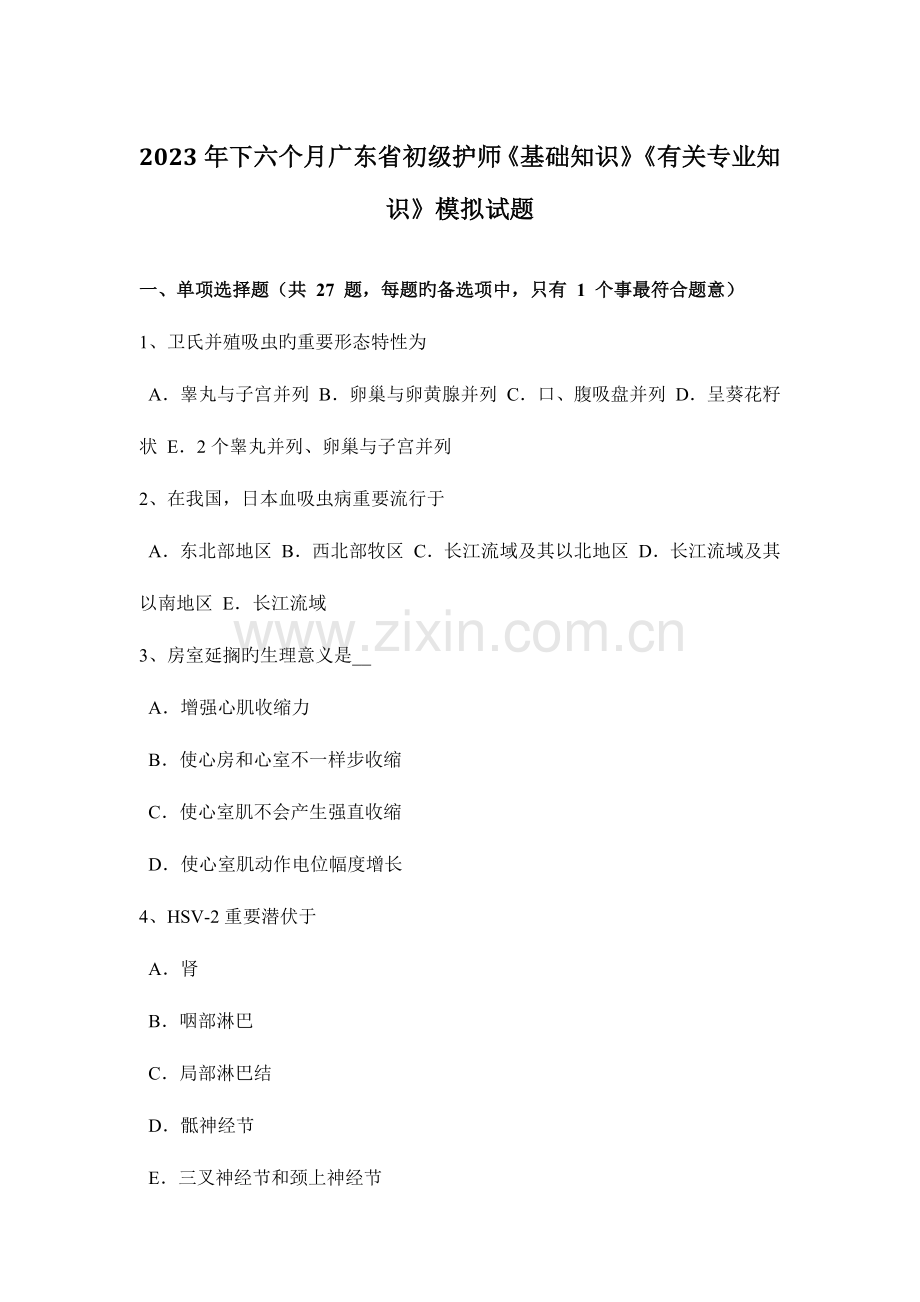 2023年下半年广东省初级护师基础知识相关专业知识模拟试题.docx_第1页