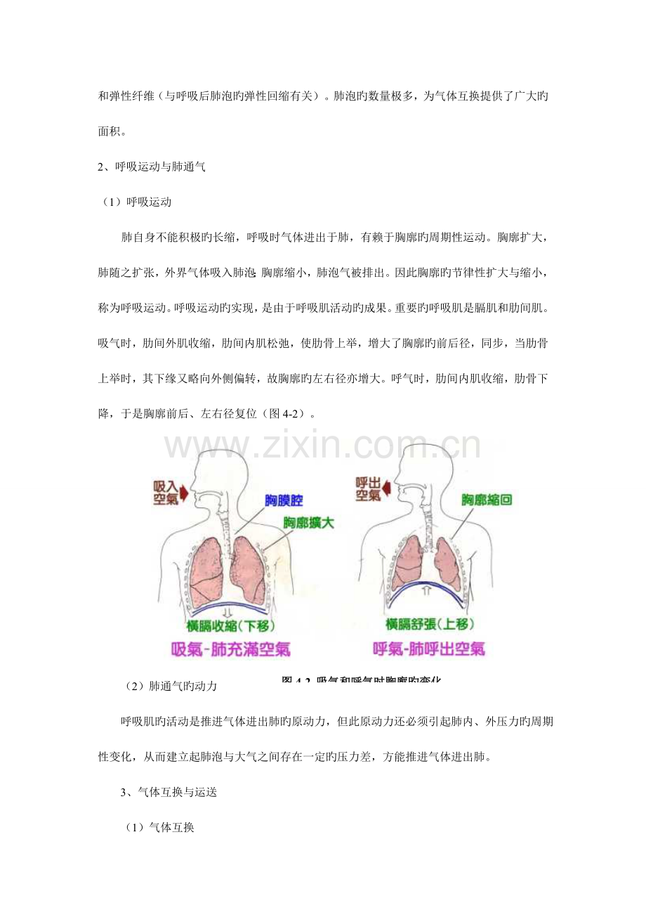 2023年高中生物奥林匹克竞赛辅导呼吸作用习题.doc_第2页