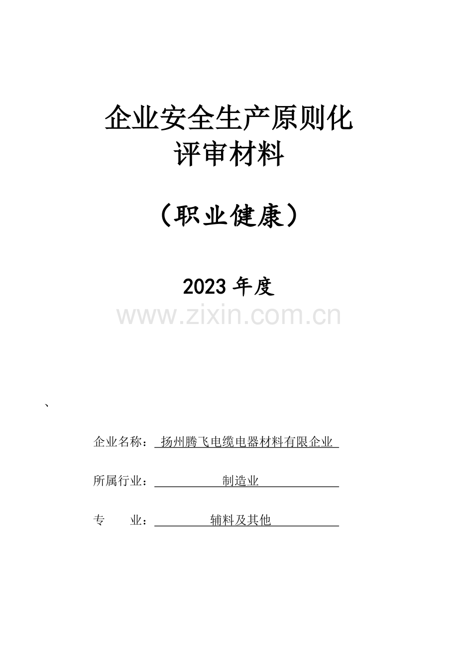 十职业健康安全生产标准化.doc_第1页