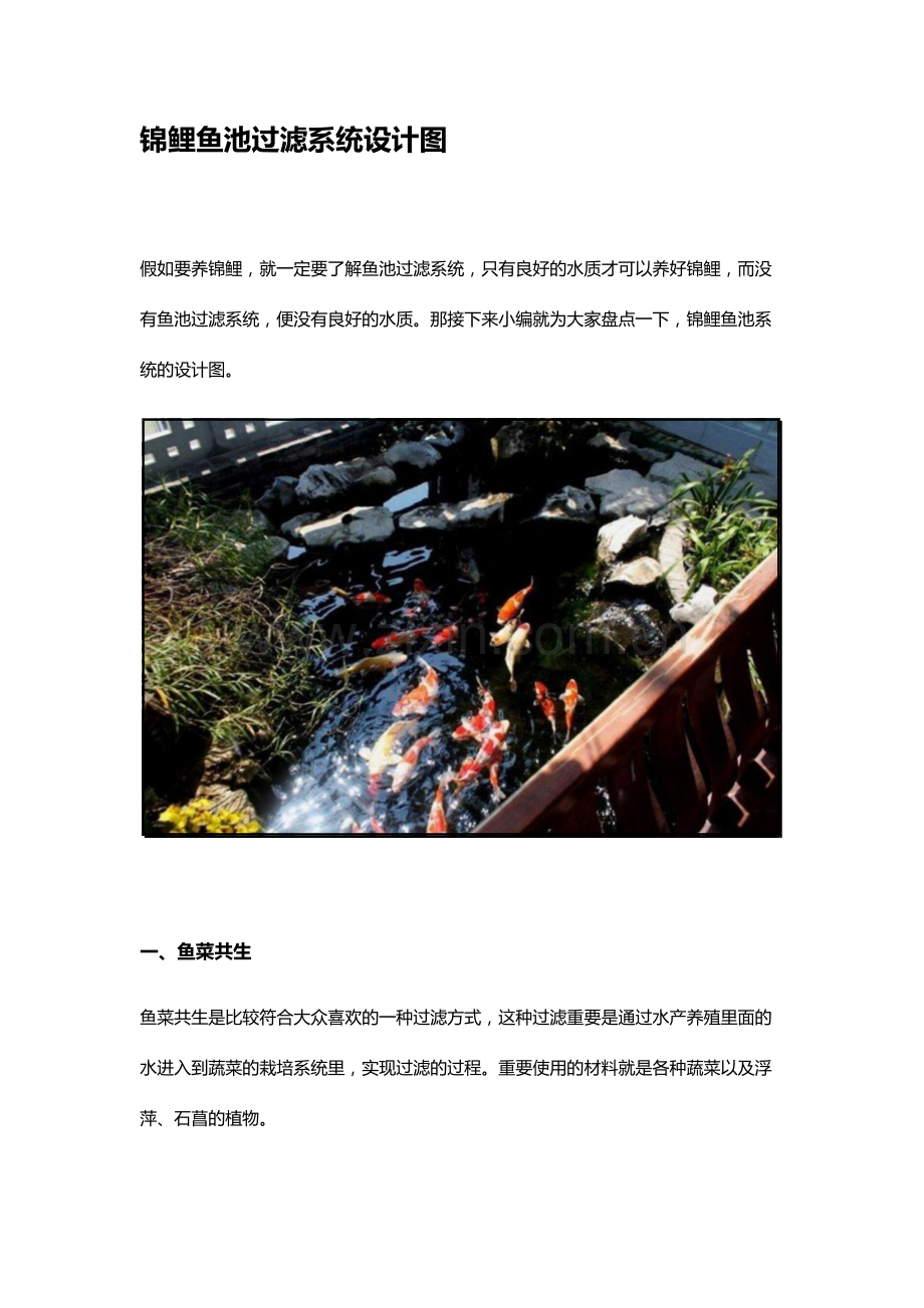 锦鲤鱼池过滤系统设计图.doc_第1页