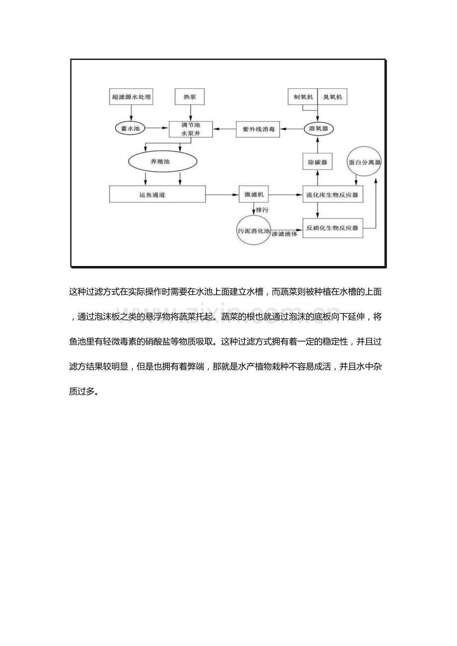 锦鲤鱼池过滤系统设计图.doc_第2页