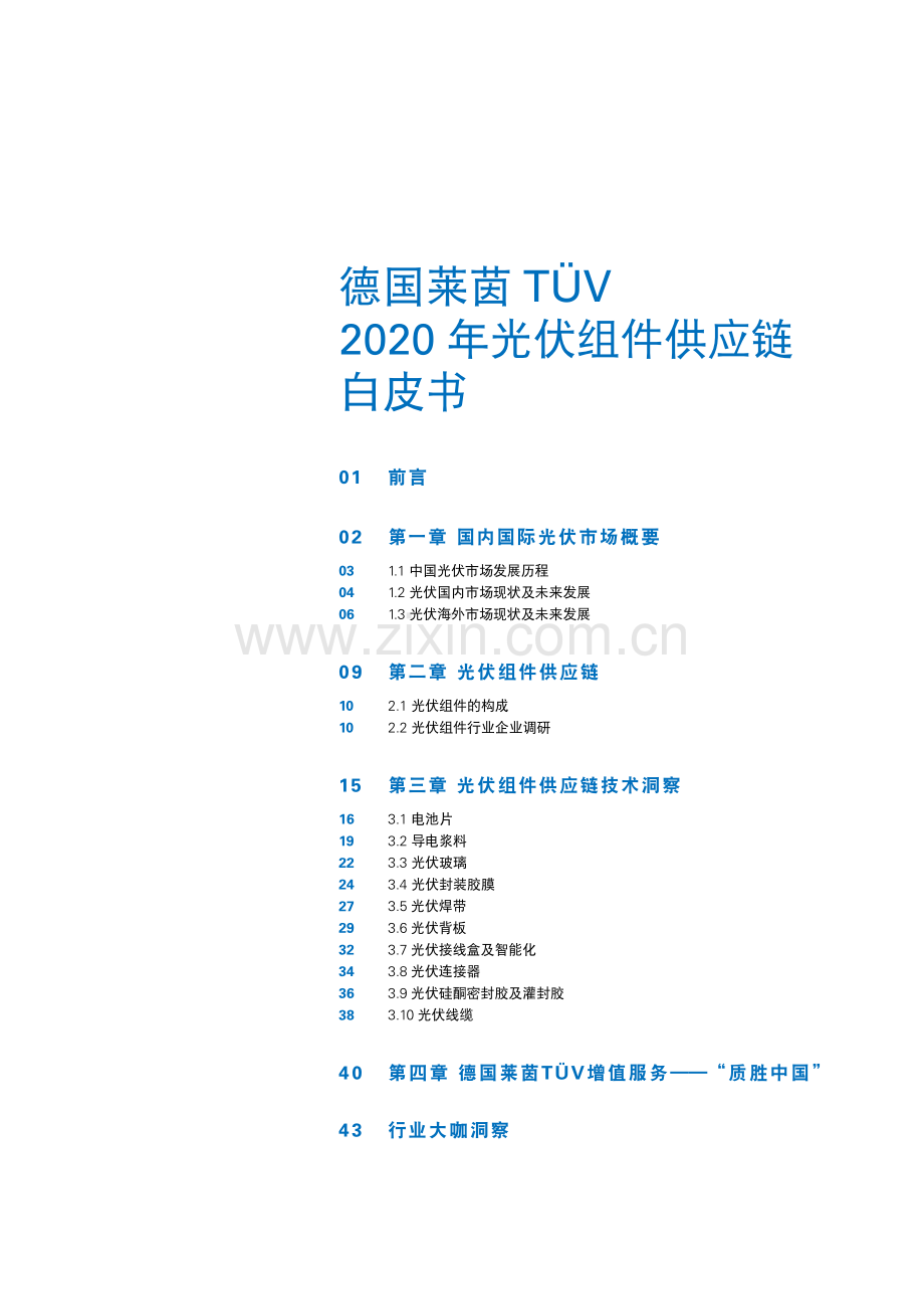 2020年光伏组件供应链白皮书.pdf_第2页