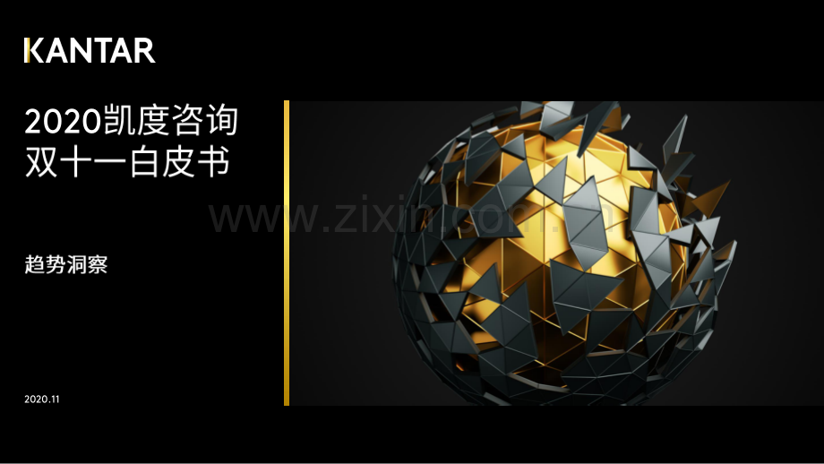 2020双十一白皮书.pdf_第1页