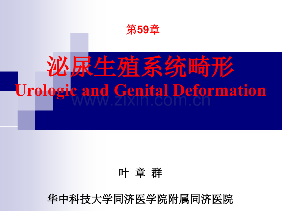 泌尿生殖系统畸形叶群外科学年制版配套PPT课件.ppt_第1页