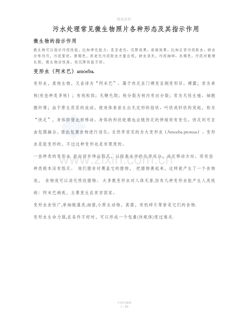 污水生物处理法常见微生物照片及其指示作用高清图片.docx_第1页