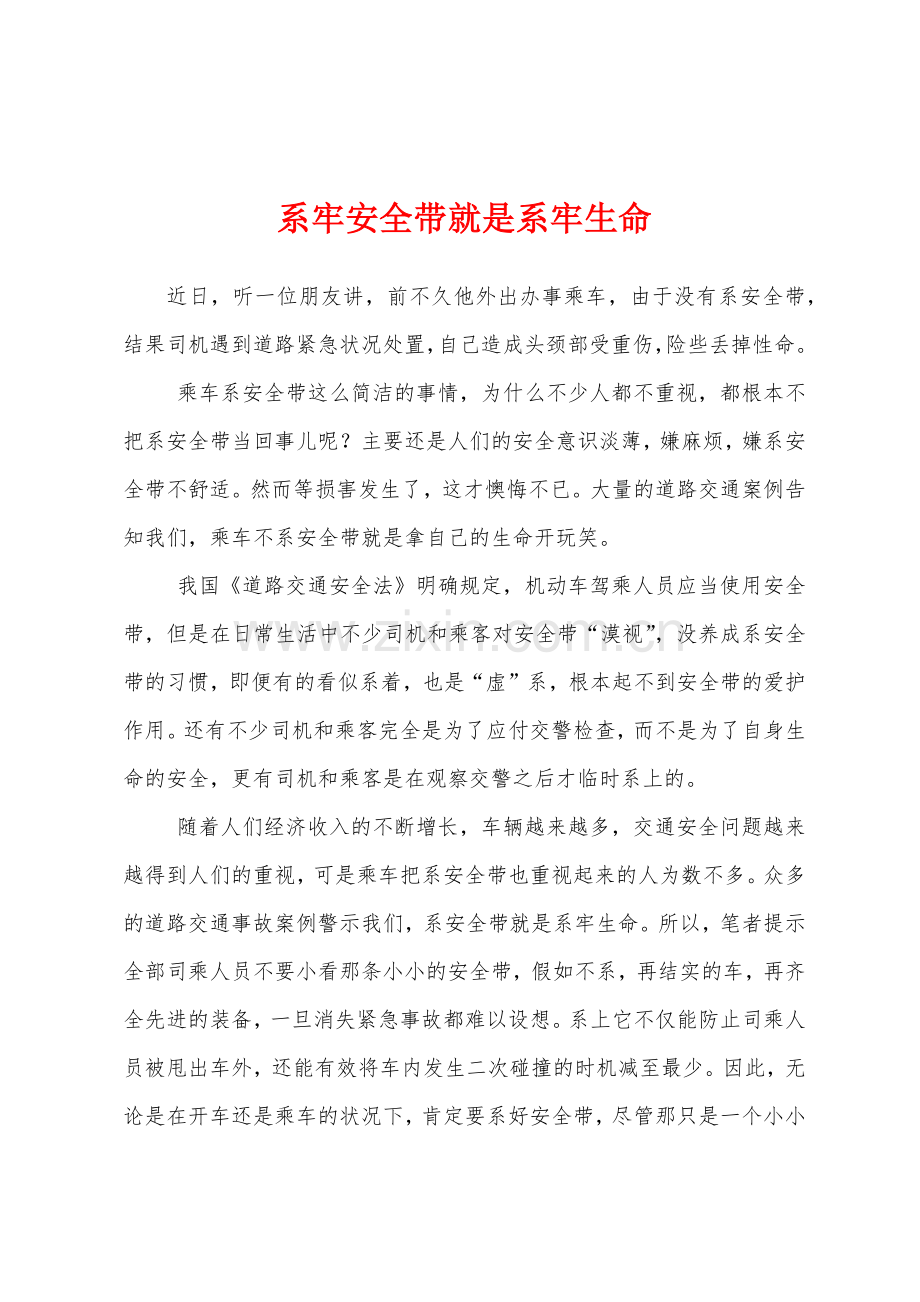 系牢安全带就是系牢生命.docx_第1页