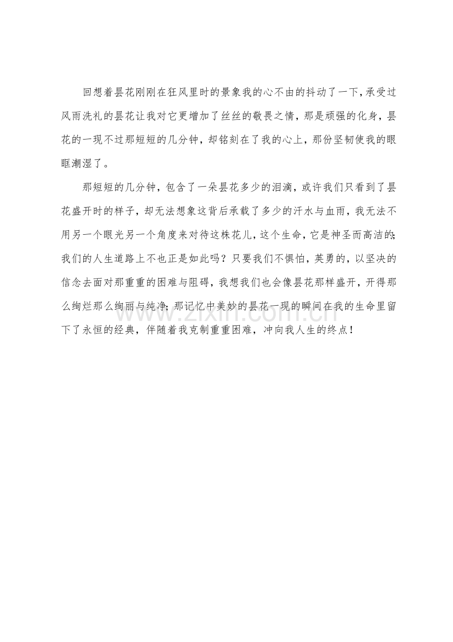 初中话题作文美的瞬间.docx_第2页