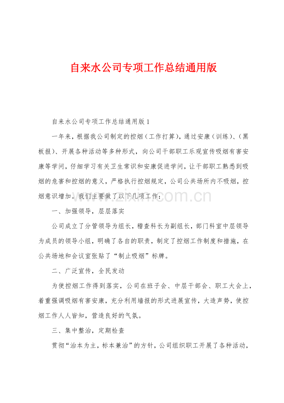 自来水公司专项工作总结通用版.docx_第1页