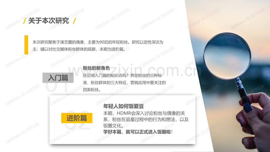 粉丝文化入门手册（进阶篇）.pdf_第2页
