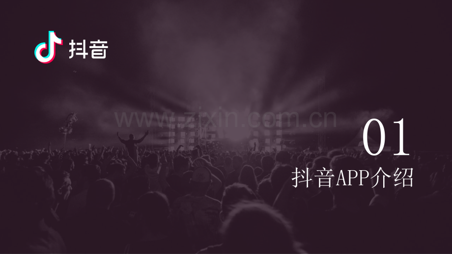 抖音营销通案（含挑战赛介绍）.pdf_第2页