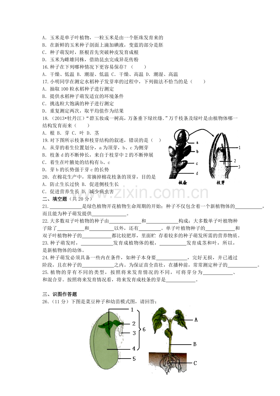 八年级生物上册---种子的萌发和芽的发育单元综合测试卷无答案新版冀教版1.doc_第2页