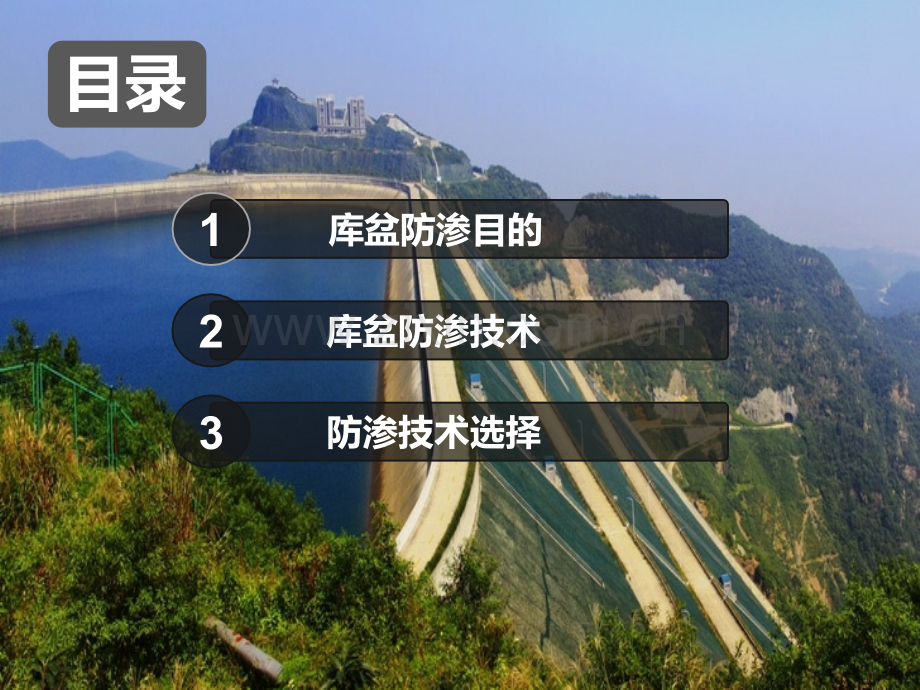抽水蓄能电站全库盆防渗技术课件.ppt_第2页
