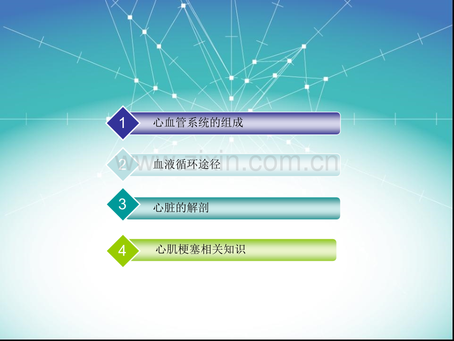 循环系统相关知识课件.pptx_第2页