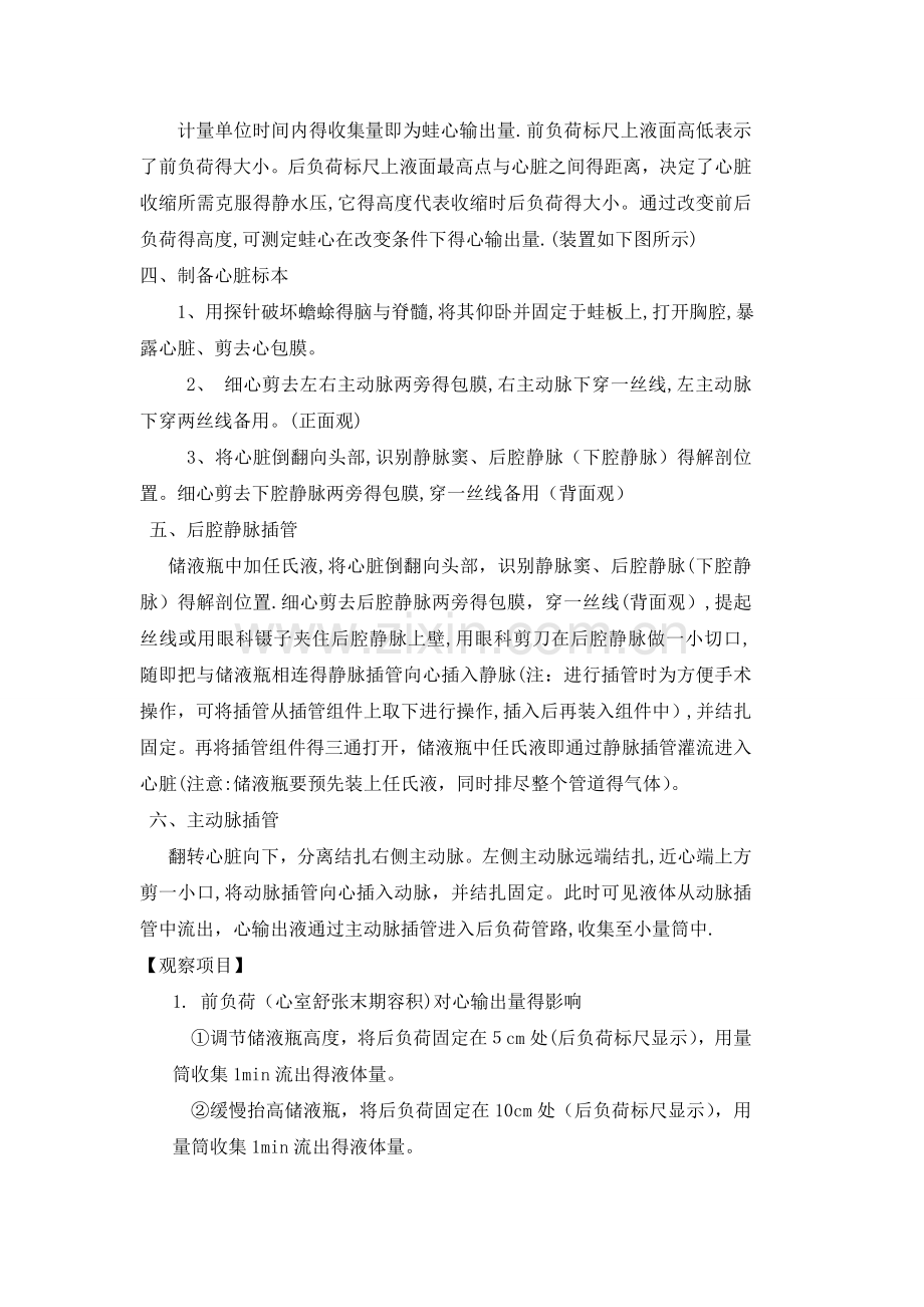 前后负荷对心输出量的影响.doc_第2页