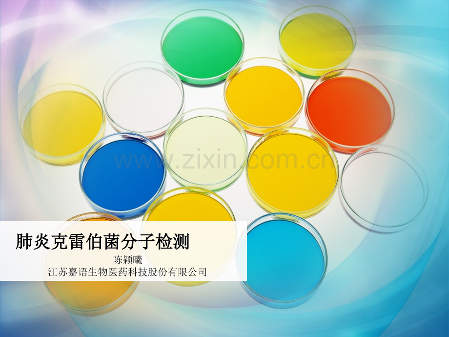 微生物之克雷伯菌课件.ppt_第1页
