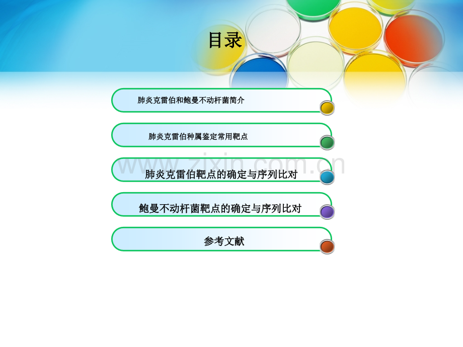 微生物之克雷伯菌课件.ppt_第2页