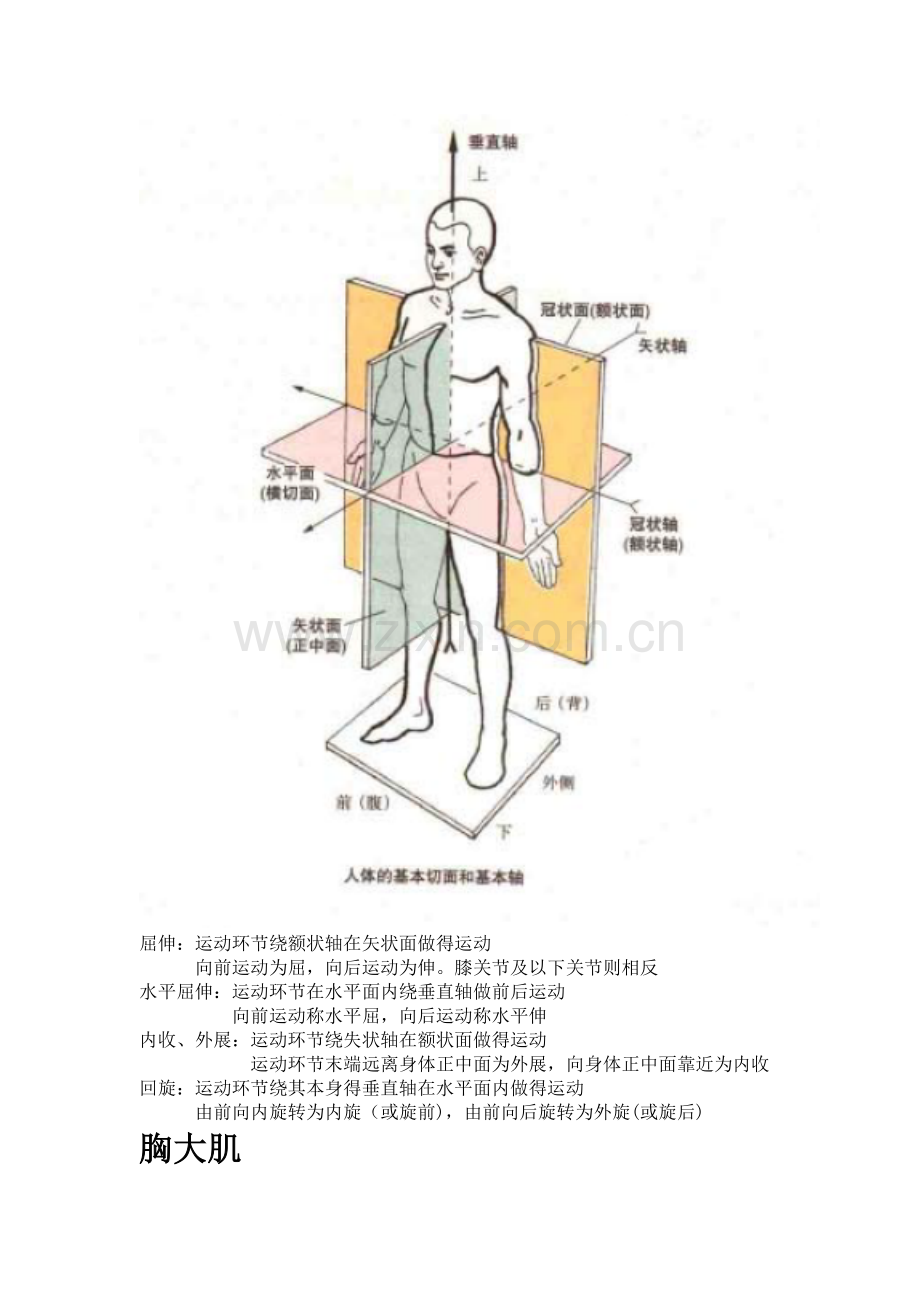 初级健身教练考试资料.doc_第1页