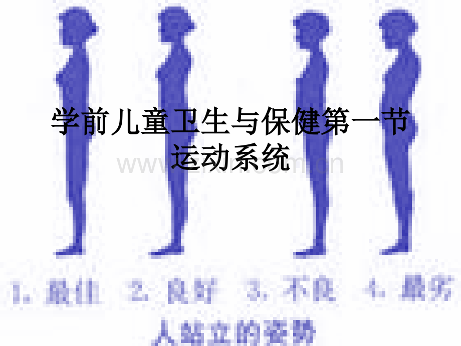 学前儿童卫生与保健第一节运动系统.ppt_第1页