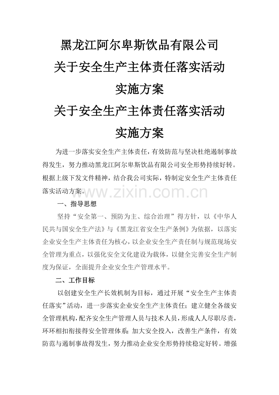 安全生产主体责任落实年活动实施方案.doc_第1页