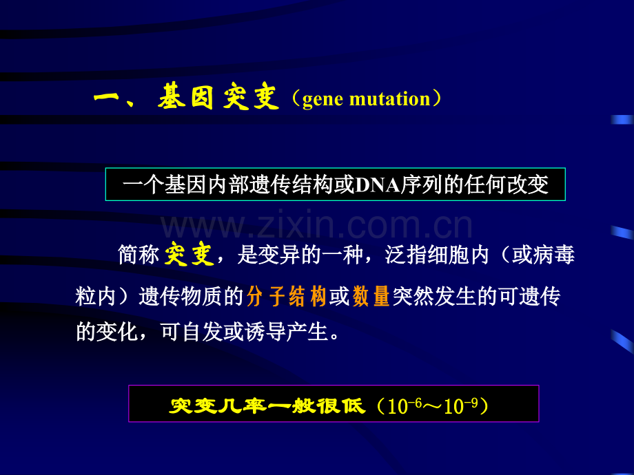 微生物--遗传与变异2.ppt_第1页